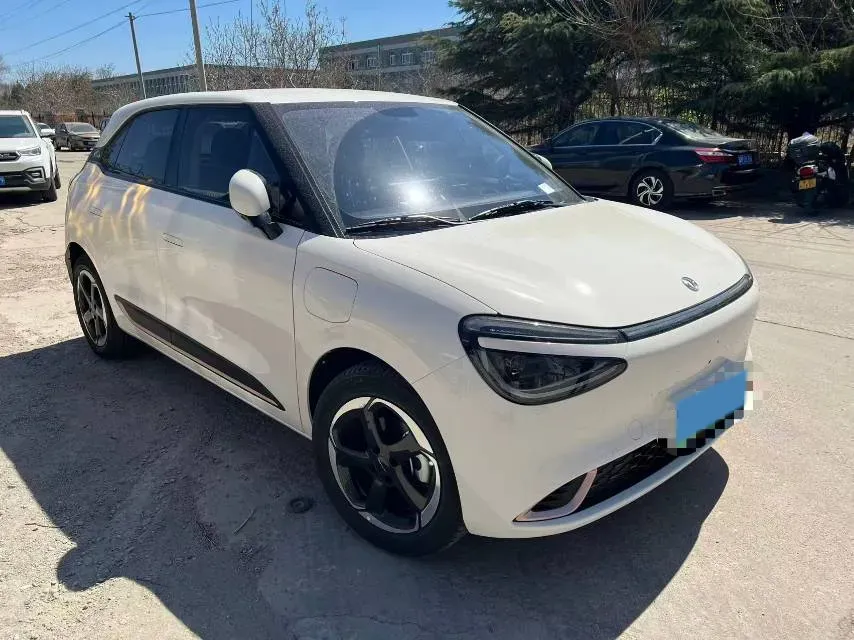 2024 DongFeng Nammi 01 BEV 42.3KWH,autocango,china used car exporter,china ev exporter,chinese used car exporter,chinese used ev exporter