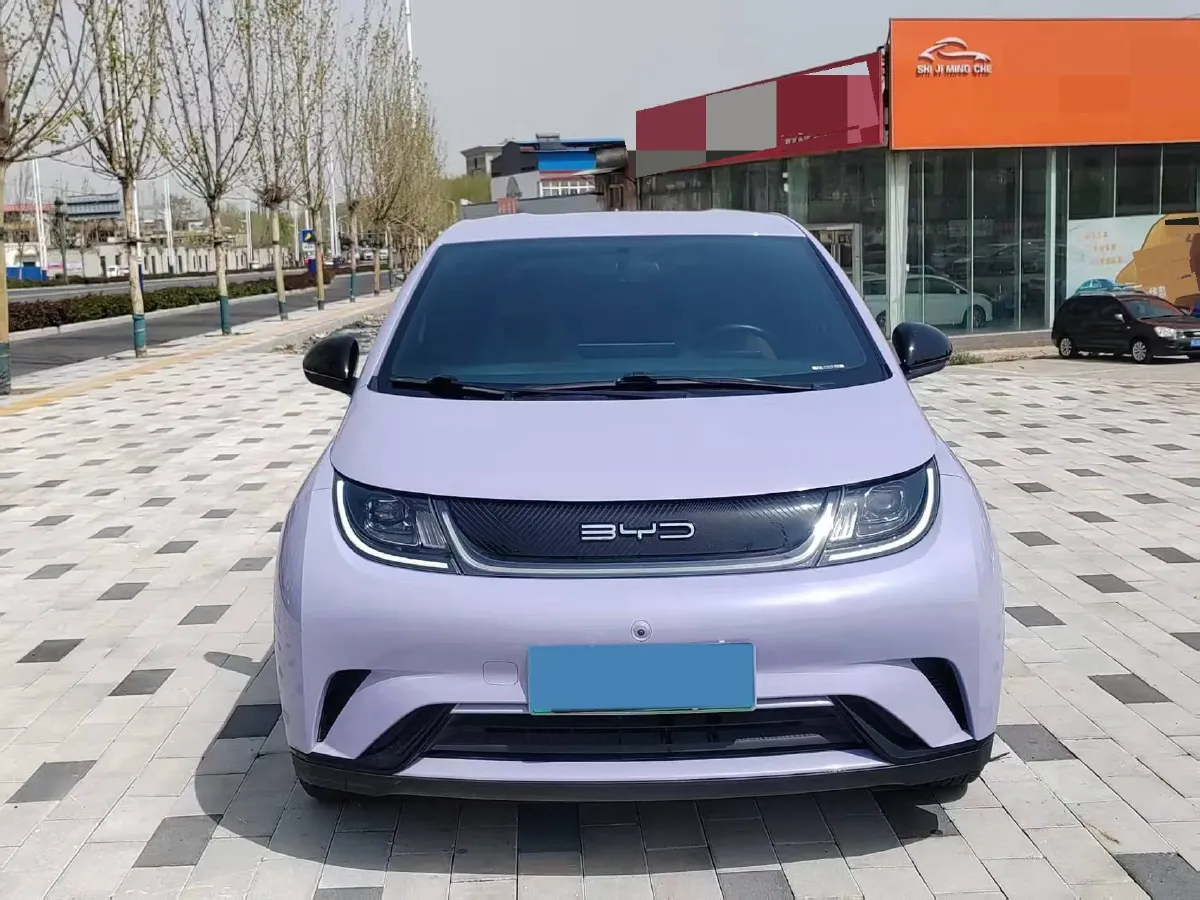 2023 BYD Dolphin BEV 44.928KWH,autocango,china used car exporter,china ev exporter,chinese used car exporter,chinese used ev exporter