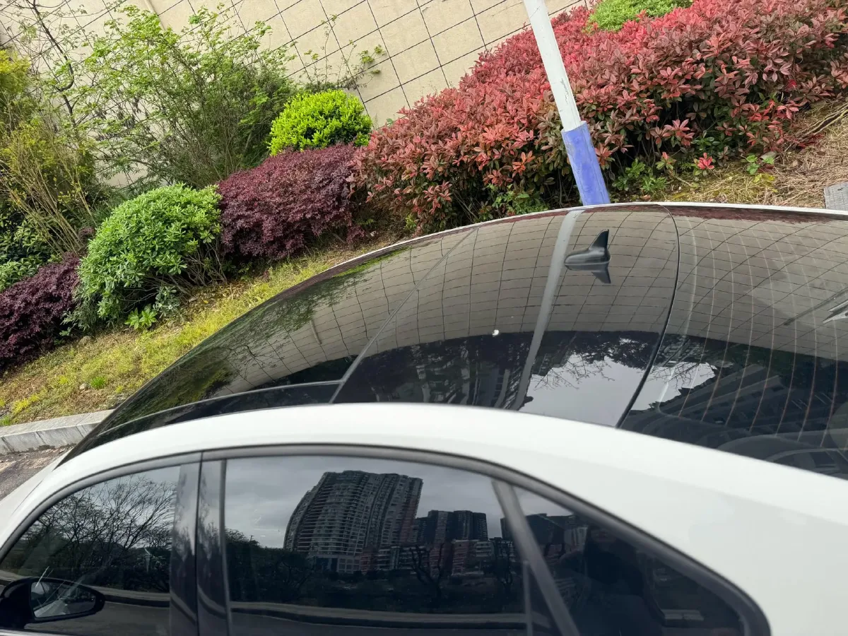 2021 Volkswagen Lamando 1.4T 150HP L4 7DCT,autocango,china used car exporter,china ev exporter,chinese used car exporter,chinese used ev exporter