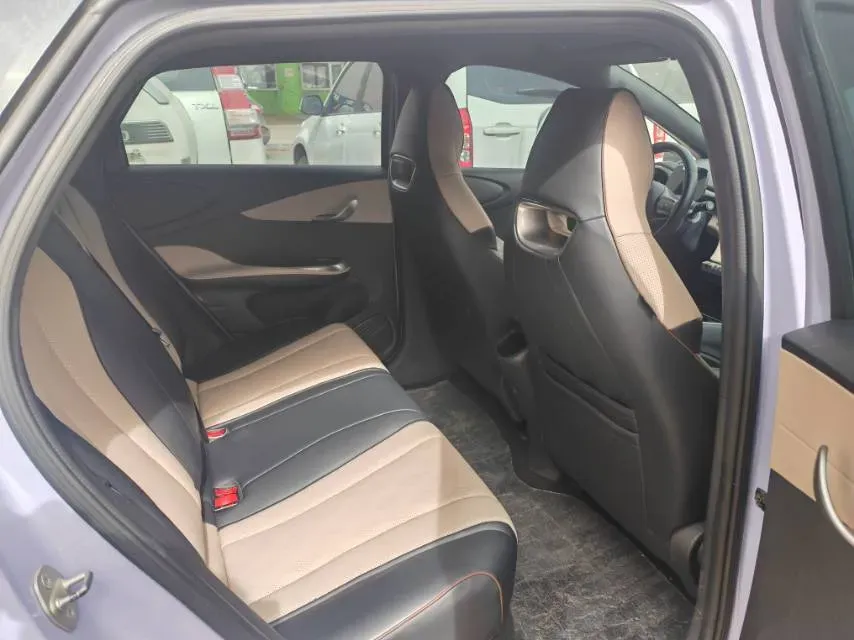 2023 BYD Dolphin BEV 44.928KWH,autocango,china used car exporter,china ev exporter,chinese used car exporter,chinese used ev exporter