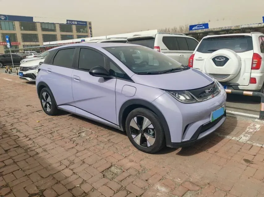 2023 BYD Dolphin BEV 44.928KWH,autocango,china used car exporter,china ev exporter,chinese used car exporter,chinese used ev exporter