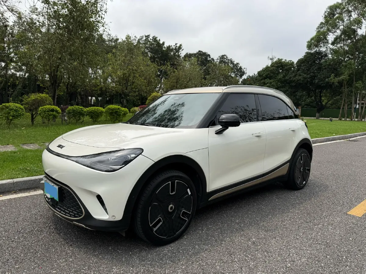 2024 Smart smart Elf 1 BEV 66KWH,autocango,china used car exporter,china ev exporter,chinese used car exporter,chinese used ev exporter