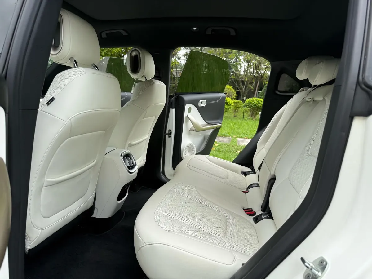 2024 Smart smart Elf 1 BEV 66KWH,autocango,china used car exporter,china ev exporter,chinese used car exporter,chinese used ev exporter