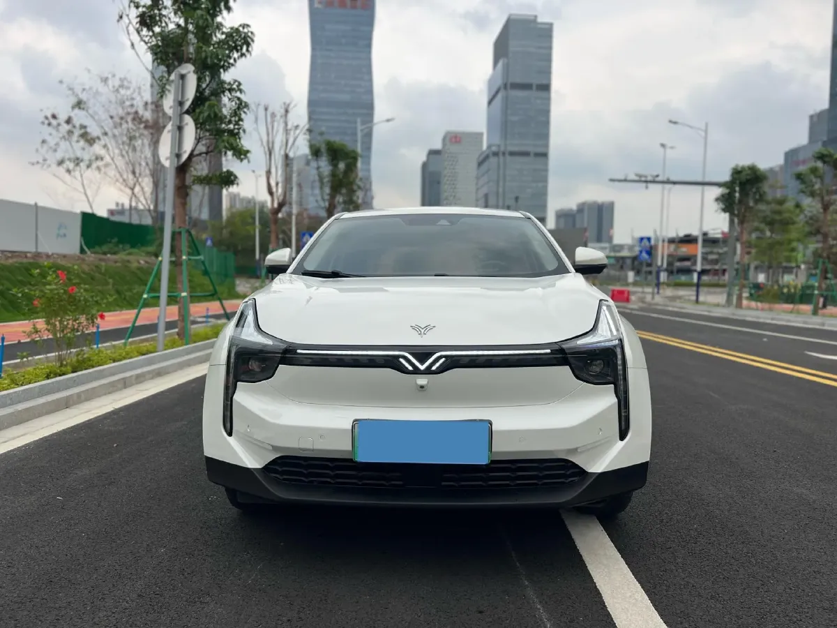 2021 Great Wall Poer 2.0T 163HP L4 8AT,autocango,china used car exporter,china ev exporter,chinese used car exporter,chinese used ev exporter