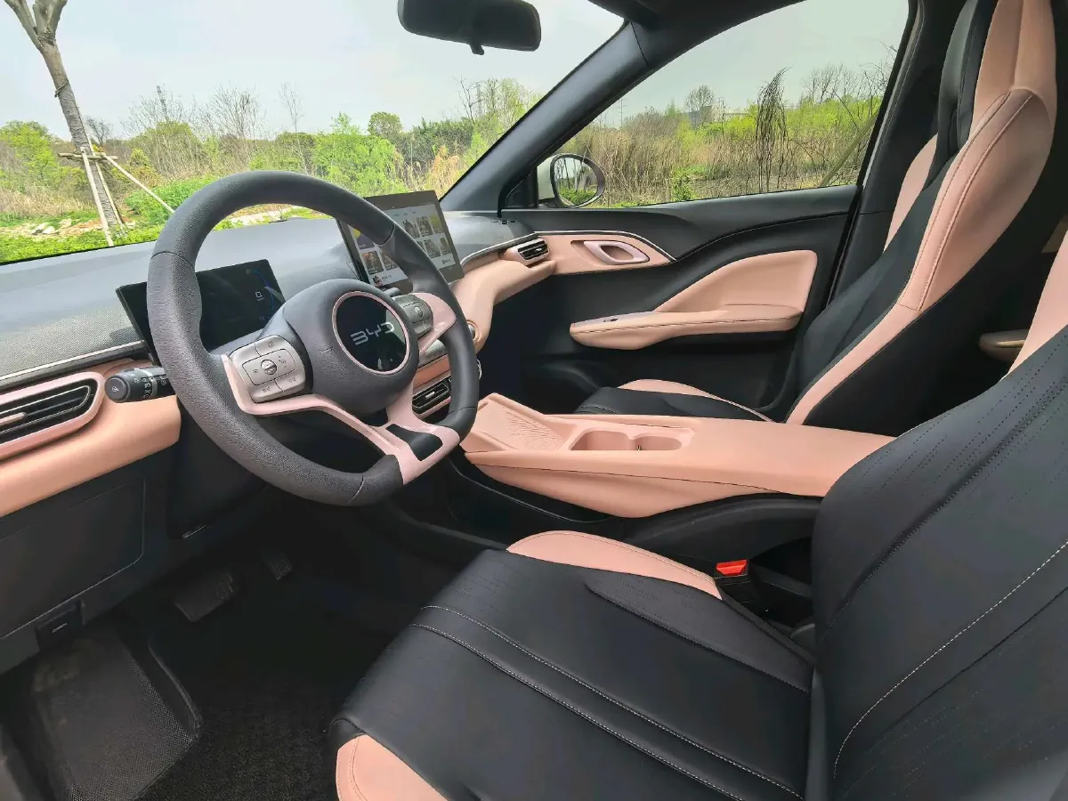 2025 BYD Seagull BEV 30.08KWH,autocango,china used car exporter,china ev exporter,chinese used car exporter,chinese used ev exporter