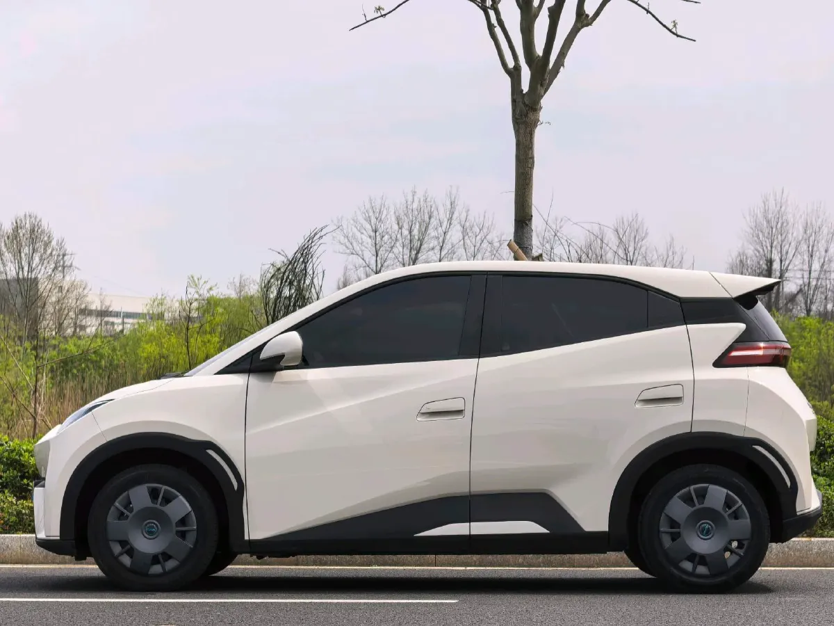 2025 BYD Seagull BEV 30.08KWH,autocango,china used car exporter,china ev exporter,chinese used car exporter,chinese used ev exporter