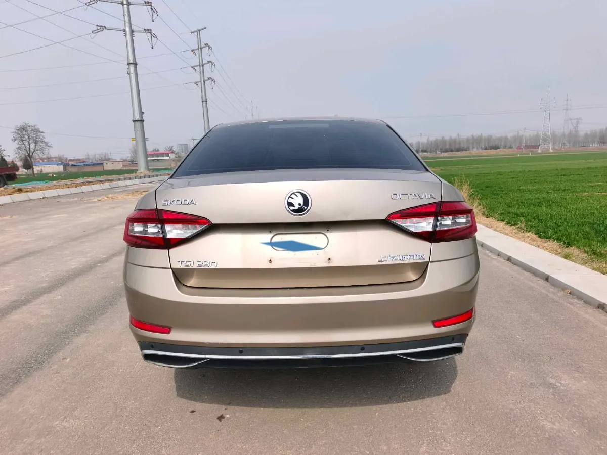 2018 Skoda Octavia 1.2T 116HP L4 7DCT,autocango,china used car exporter,china ev exporter,chinese used car exporter,chinese used ev exporter