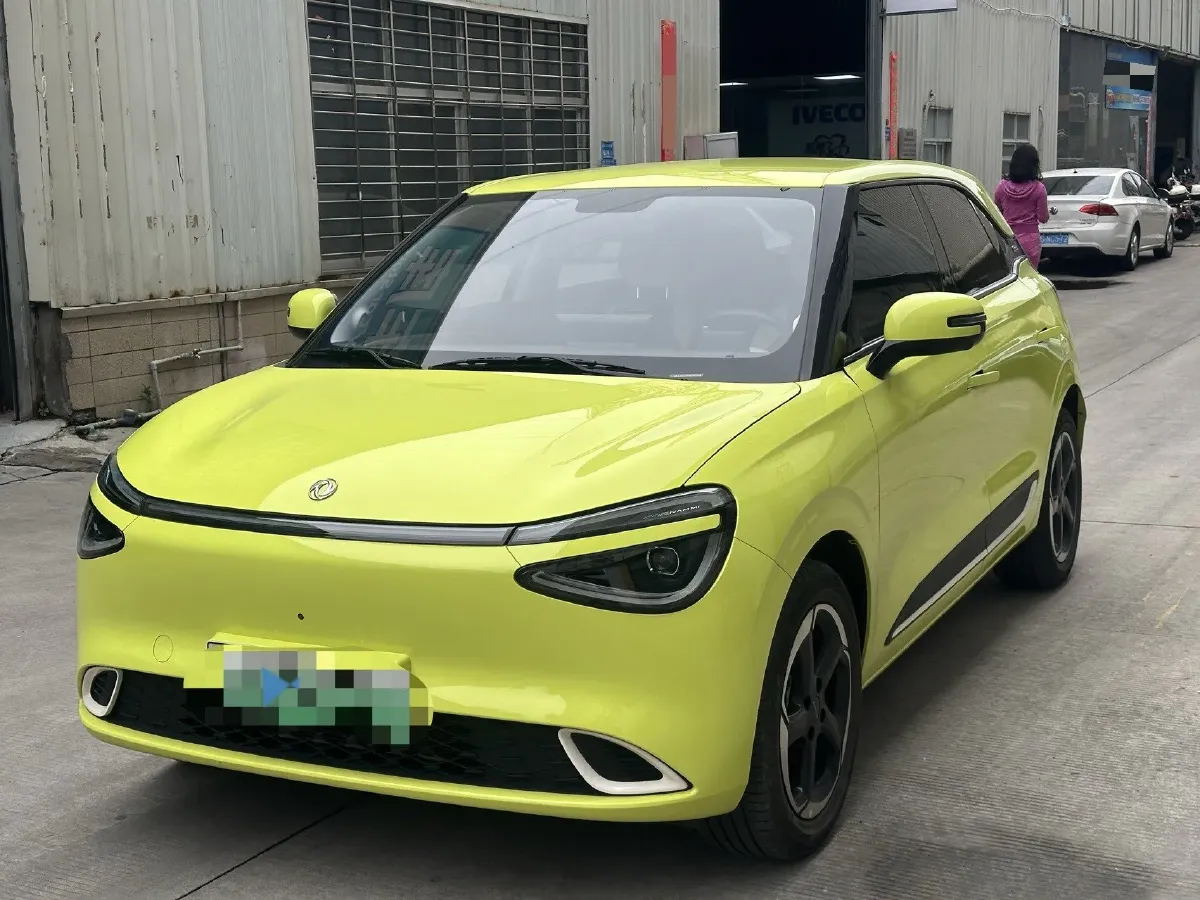 2024 DongFeng Nammi 01 BEV 42.3KWH,autocango,china used car exporter,china ev exporter,chinese used car exporter,chinese used ev exporter