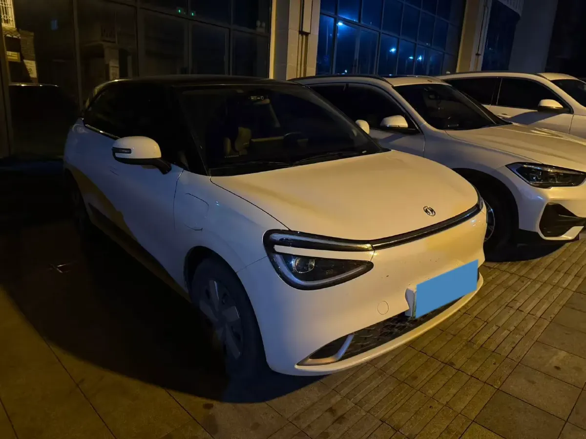 2024 DongFeng eπ 01 BEV 31.45KWH,autocango,china used car exporter,china ev exporter,chinese used car exporter,chinese used ev exporter