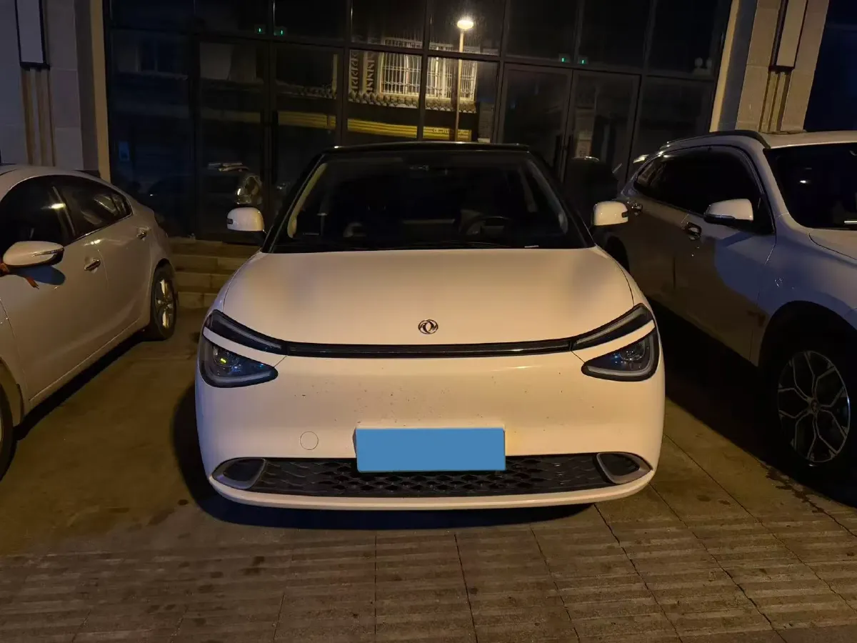 2024 DongFeng eπ 01 BEV 31.45KWH,autocango,china used car exporter,china ev exporter,chinese used car exporter,chinese used ev exporter