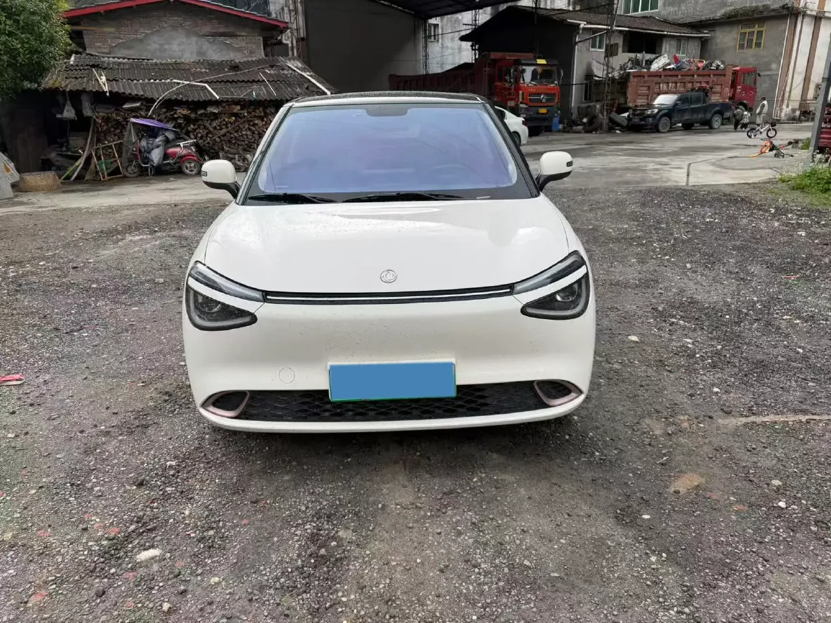 2024 DongFeng eπ 01 BEV 31.45KWH,autocango,china used car exporter,china ev exporter,chinese used car exporter,chinese used ev exporter