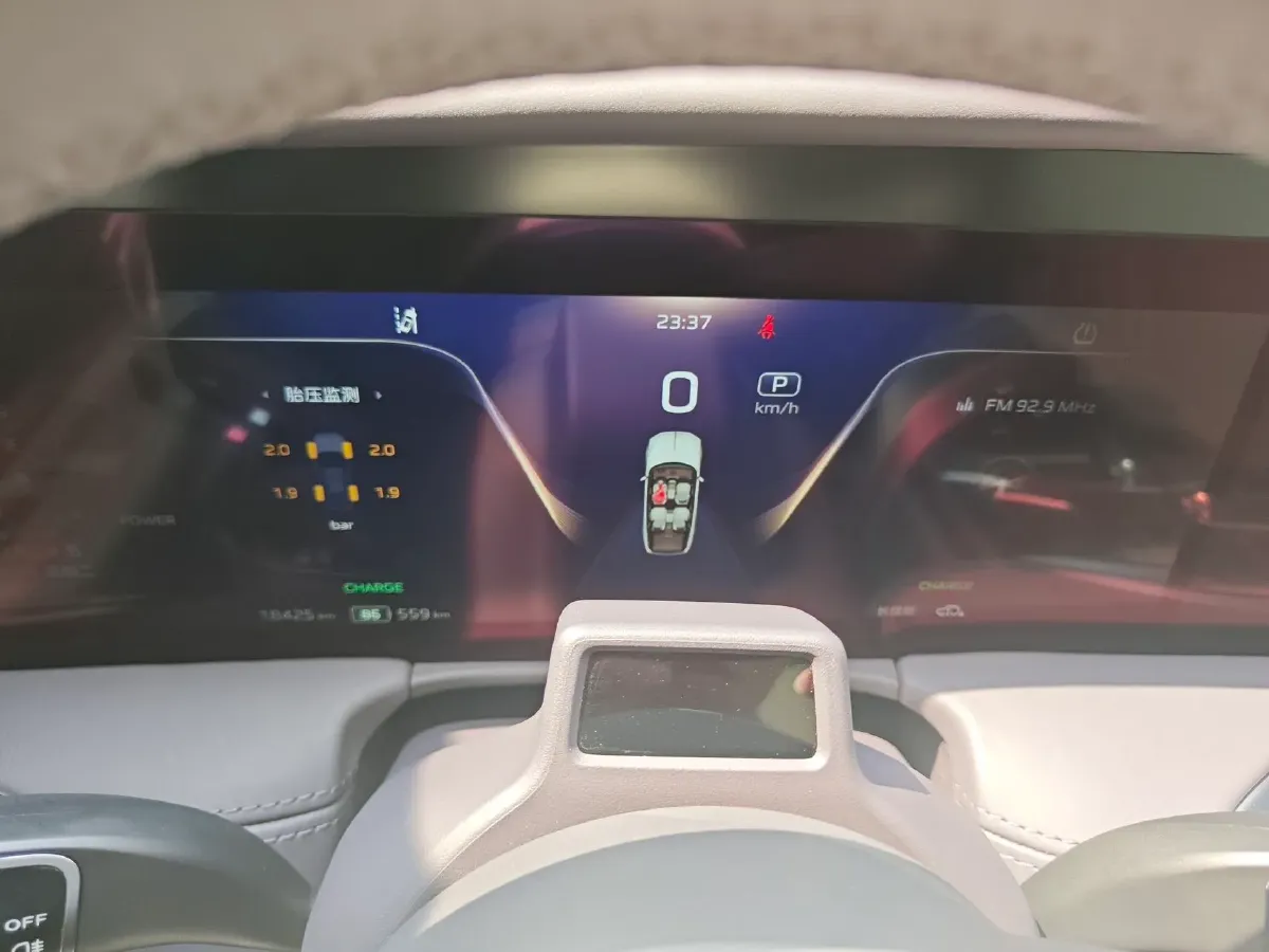 2022 HongQi E-HS9 BEV 120KWH,autocango,china used car exporter,china ev exporter,chinese used car exporter,chinese used ev exporter