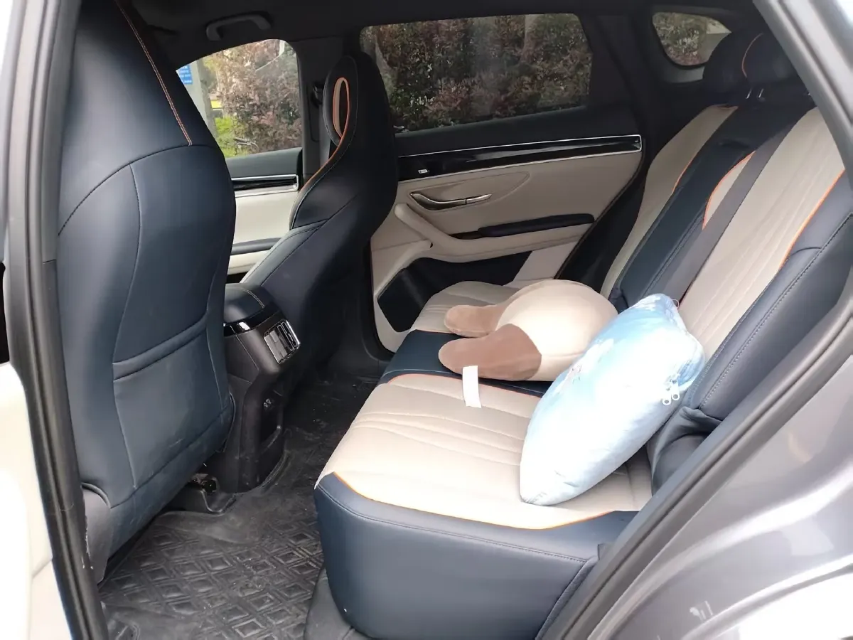 2021 SRM Sea Lion EV BEV 41.86KWH,autocango,china used car exporter,china ev exporter,chinese used car exporter,chinese used ev exporter