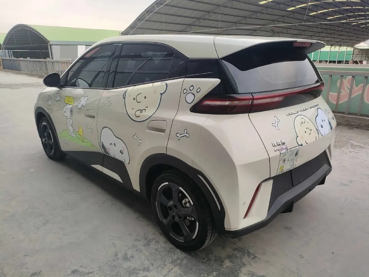 2023 BYD Seagull BEV 38.88KWH,autocango,china used car exporter,china ev exporter,chinese used car exporter,chinese used ev exporter