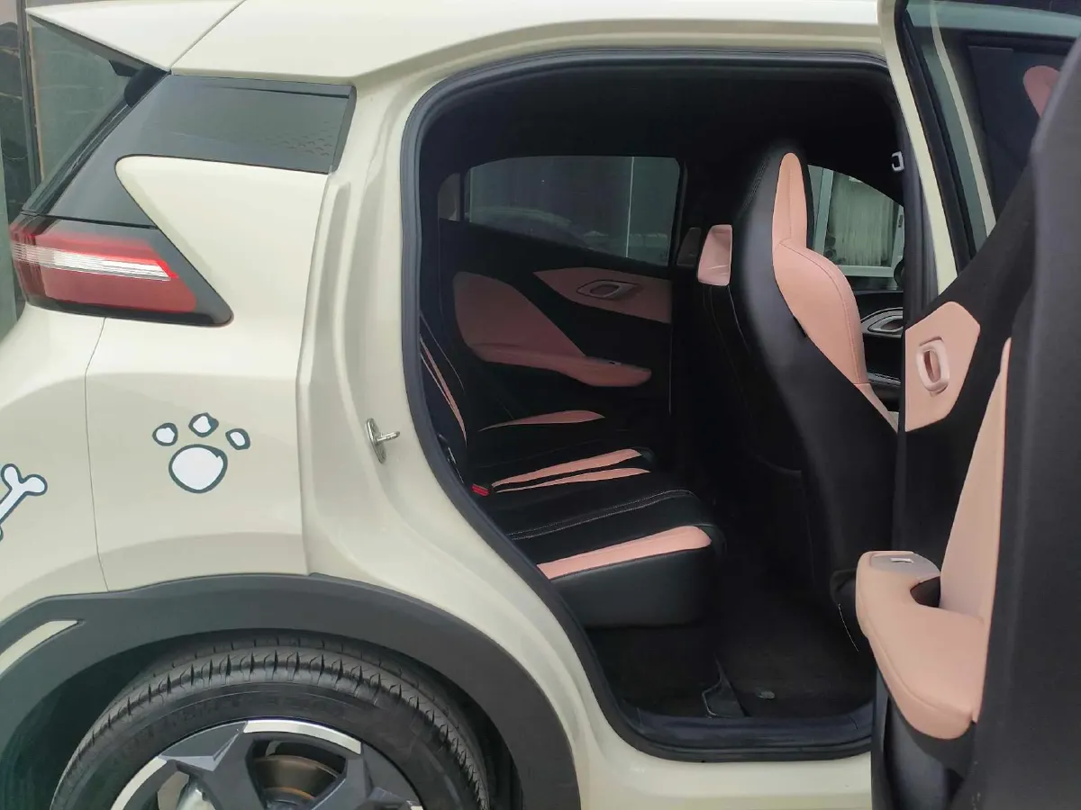 2023 BYD Seagull BEV 38.88KWH,autocango,china used car exporter,china ev exporter,chinese used car exporter,chinese used ev exporter