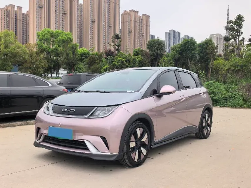 2021 BYD e2 BEV 43.2KWH,autocango,china used car exporter,china ev exporter,chinese used car exporter,chinese used ev exporter