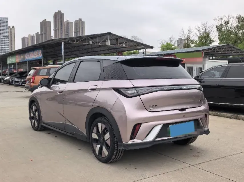 2021 BYD e2 BEV 43.2KWH,autocango,china used car exporter,china ev exporter,chinese used car exporter,chinese used ev exporter