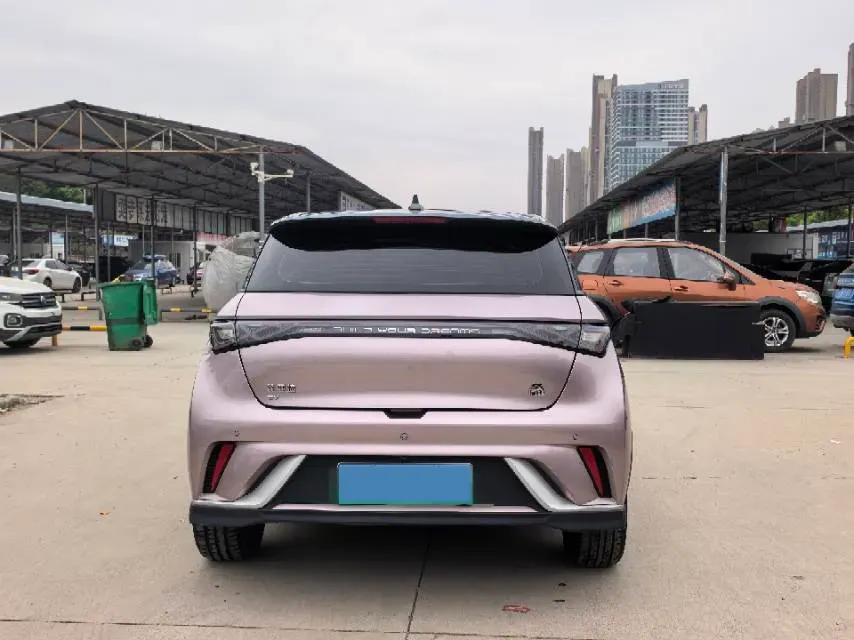 2021 BYD e2 BEV 43.2KWH,autocango,china used car exporter,china ev exporter,chinese used car exporter,chinese used ev exporter