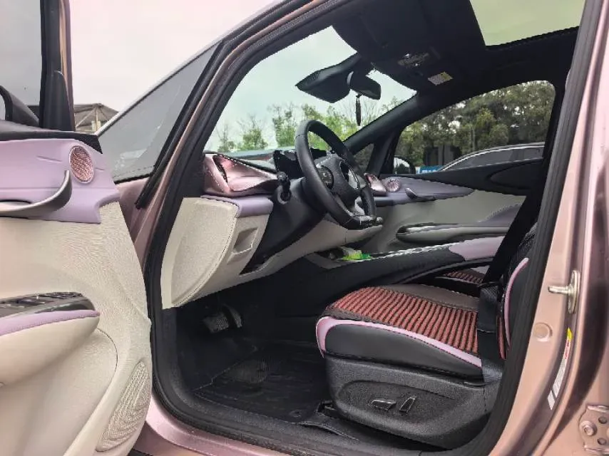 2021 BYD e2 BEV 43.2KWH,autocango,china used car exporter,china ev exporter,chinese used car exporter,chinese used ev exporter