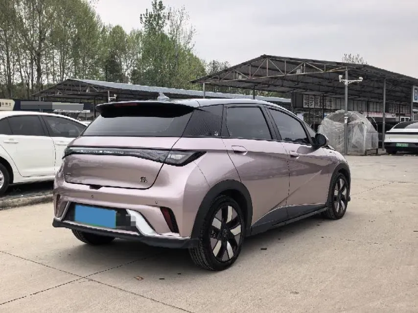 2021 BYD e2 BEV 43.2KWH,autocango,china used car exporter,china ev exporter,chinese used car exporter,chinese used ev exporter