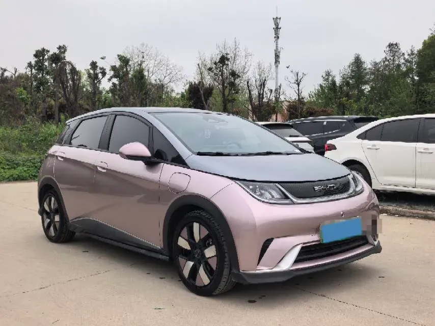 2021 BYD e2 BEV 43.2KWH,autocango,china used car exporter,china ev exporter,chinese used car exporter,chinese used ev exporter