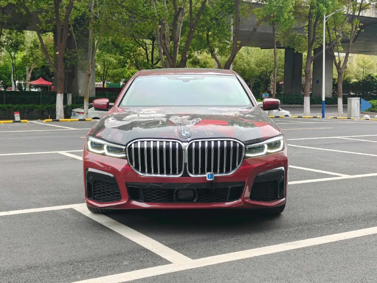 2019 BMW 7 Series 3.0T 340HP L6 8AT,autocango,china used car exporter,china ev exporter,chinese used car exporter,chinese used ev exporter