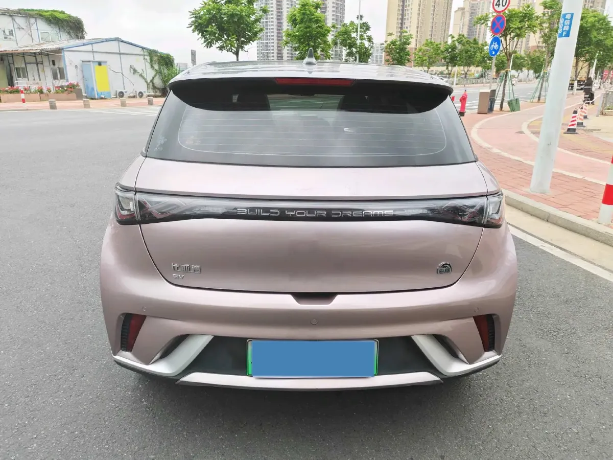 2021 BYD Yuan Pro BEV 50.1KWH,autocango,china used car exporter,china ev exporter,chinese used car exporter,chinese used ev exporter