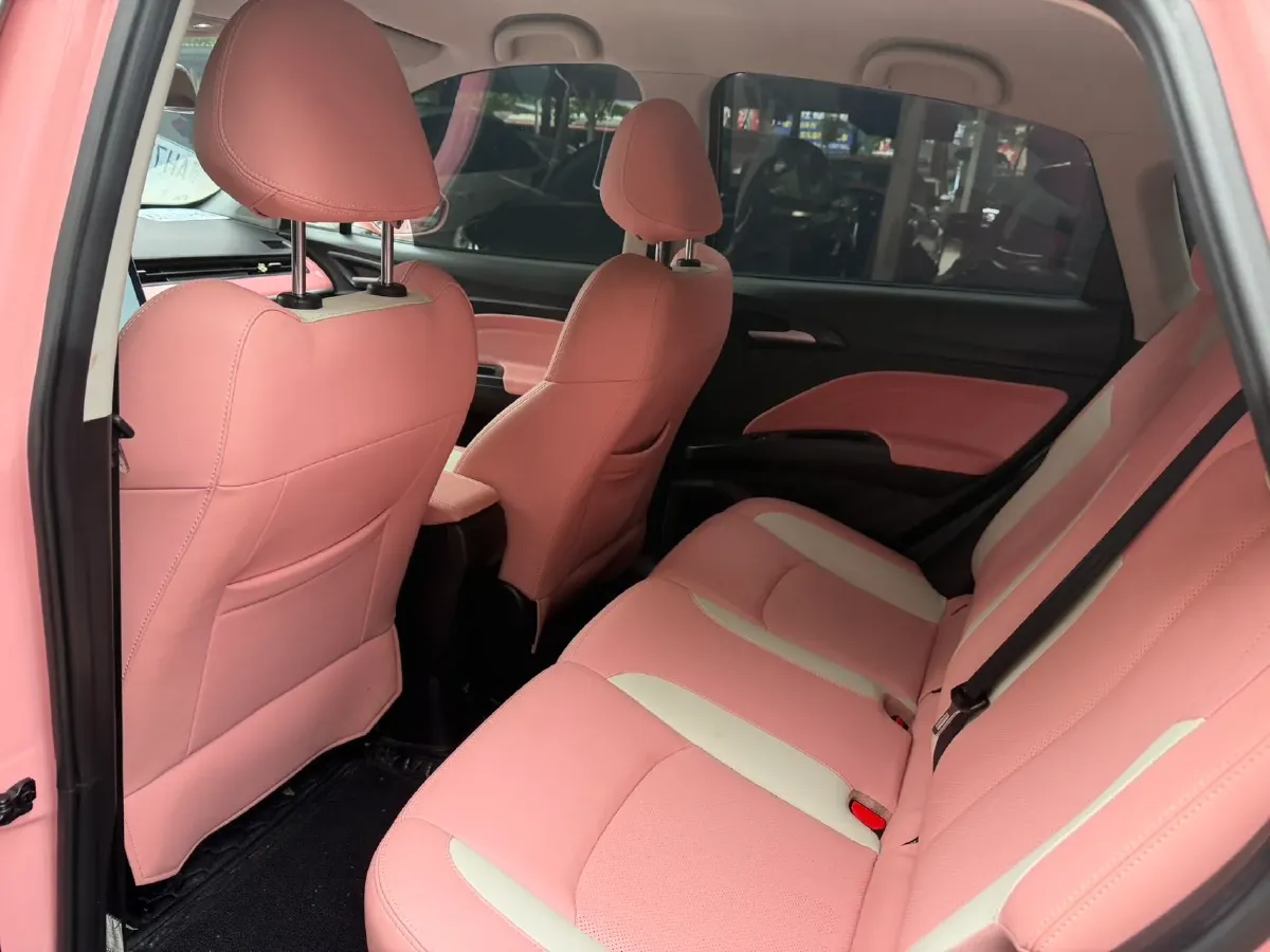 2021 Neta V BEV 38.54KWH,autocango,china used car exporter,china ev exporter,chinese used car exporter,chinese used ev exporter