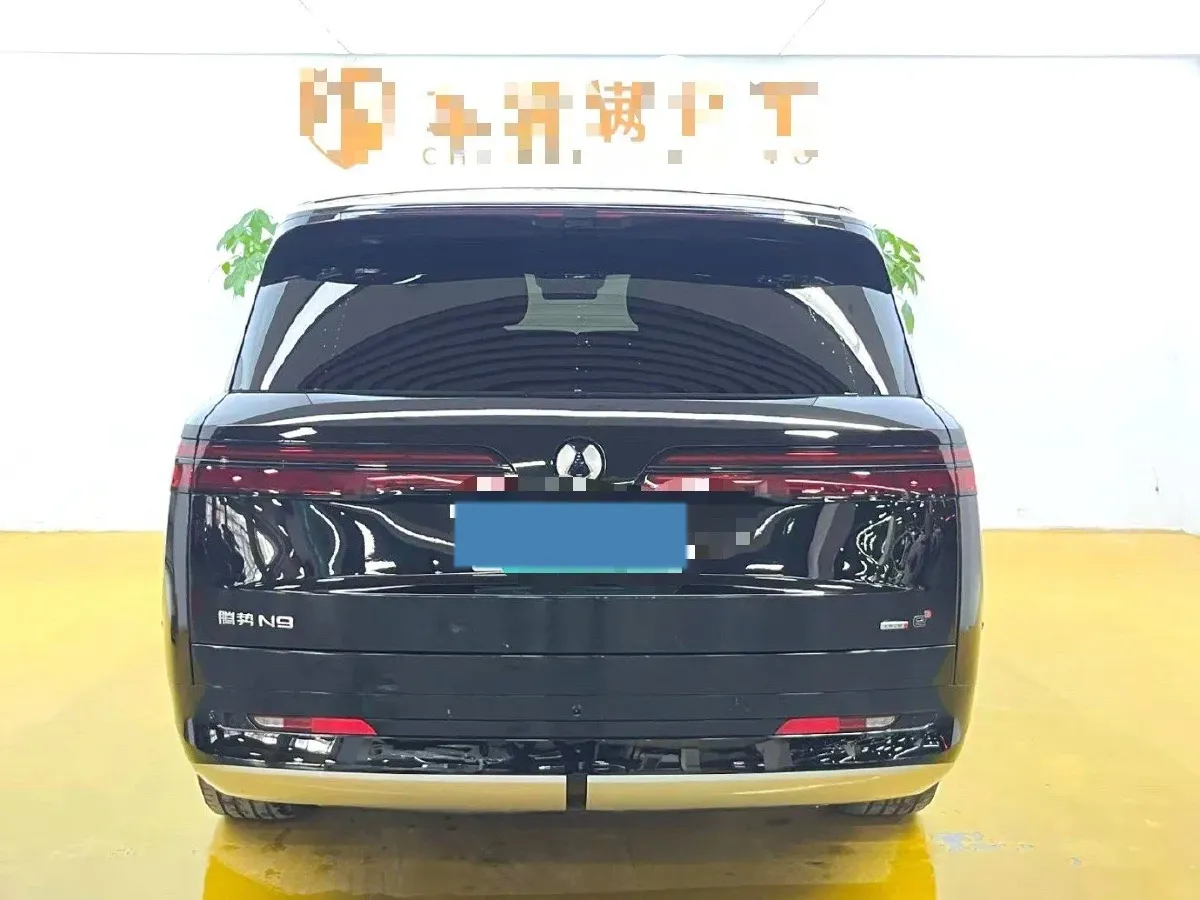 2025 Denza DenzaN9 2.0T 207HP L4 E-CVT PHEV,autocango,china used car exporter,china ev exporter,chinese used car exporter,chinese used ev exporter
