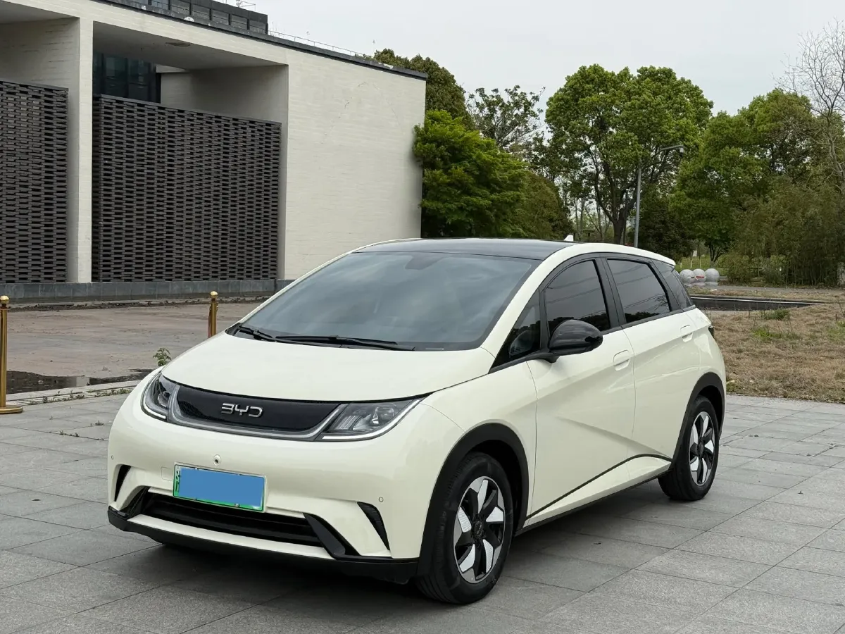 2024 BYD Dolphin BEV 44.928KWH,autocango,china used car exporter,china ev exporter,chinese used car exporter,chinese used ev exporter
