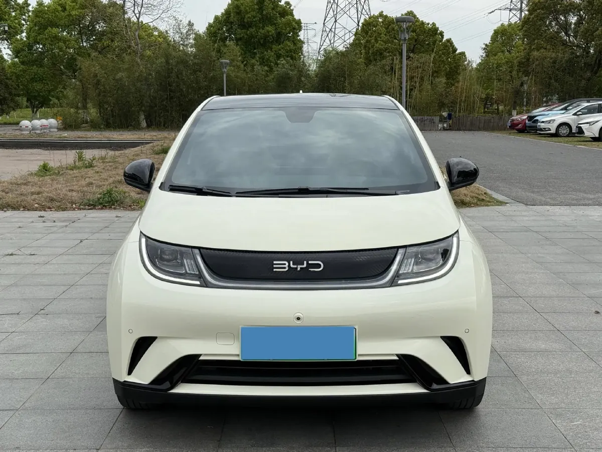 2024 BYD Dolphin BEV 44.928KWH,autocango,china used car exporter,china ev exporter,chinese used car exporter,chinese used ev exporter