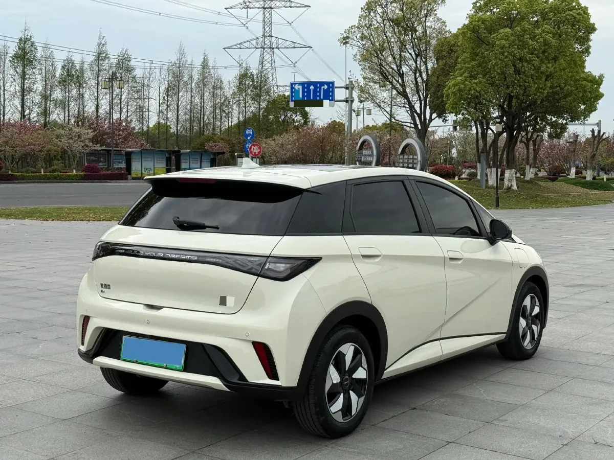 2024 BYD Dolphin BEV 44.928KWH,autocango,china used car exporter,china ev exporter,chinese used car exporter,chinese used ev exporter