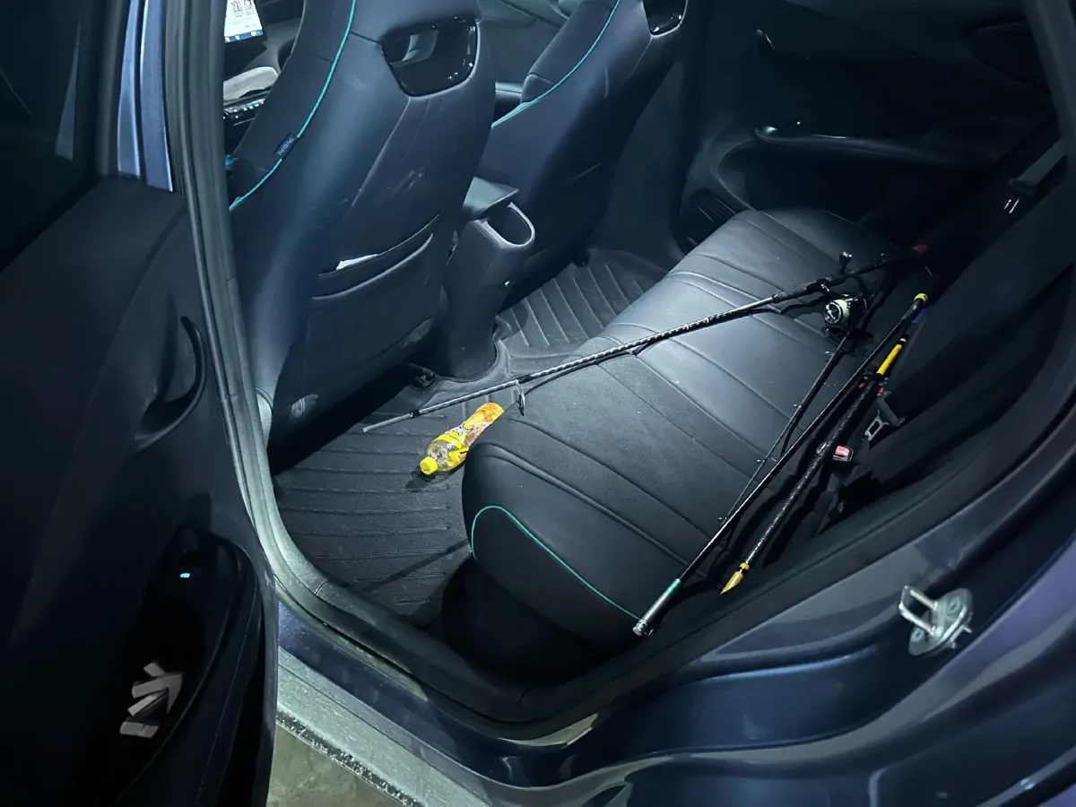 2024 BYD Dolphin BEV 44.928KWH,autocango,china used car exporter,china ev exporter,chinese used car exporter,chinese used ev exporter