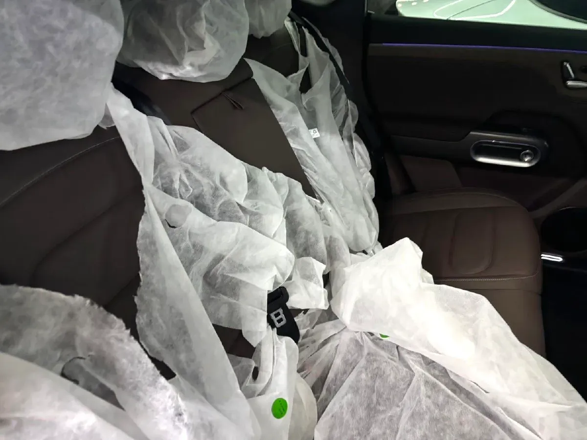 2024 Smart smart Elf 5 BEV 76KWH,autocango,china used car exporter,china ev exporter,chinese used car exporter,chinese used ev exporter