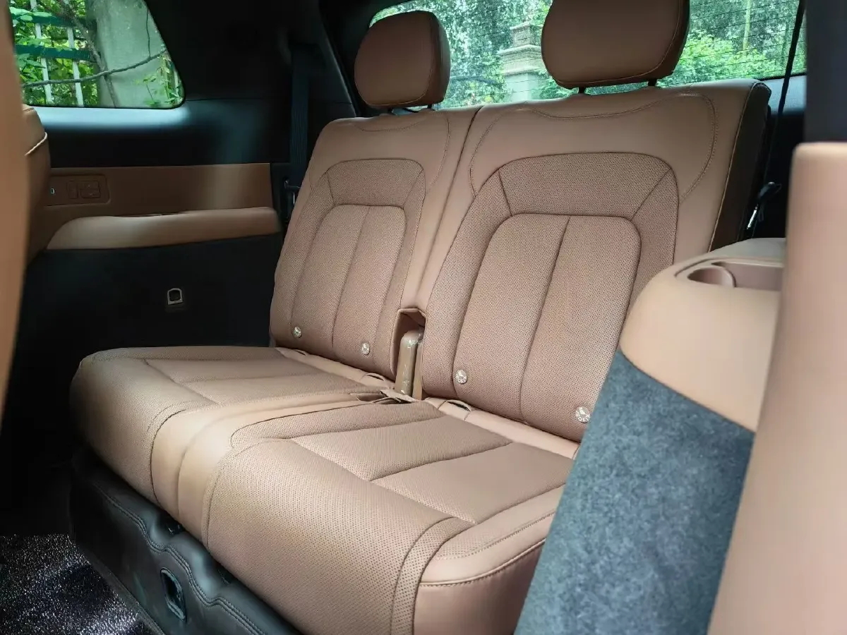 2025 Denza DenzaN8L 2.0T 207HP L4 E-CVT PHEV,autocango,china used car exporter,china ev exporter,chinese used car exporter,chinese used ev exporter