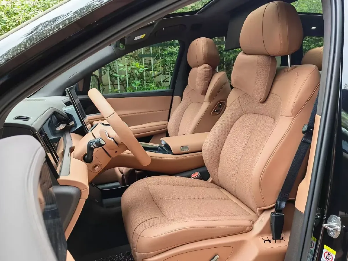 2025 Denza DenzaN8L 2.0T 207HP L4 E-CVT PHEV,autocango,china used car exporter,china ev exporter,chinese used car exporter,chinese used ev exporter