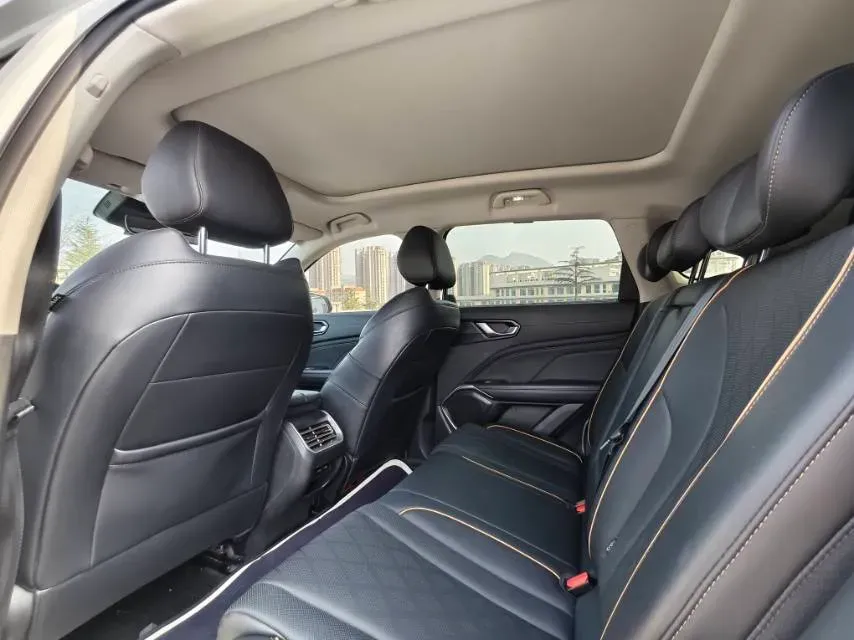 2022 WEY Latte DHT 1.5T 156HP L4 2DHT Hybrid,autocango,china used car exporter,china ev exporter,chinese used car exporter,chinese used ev exporter