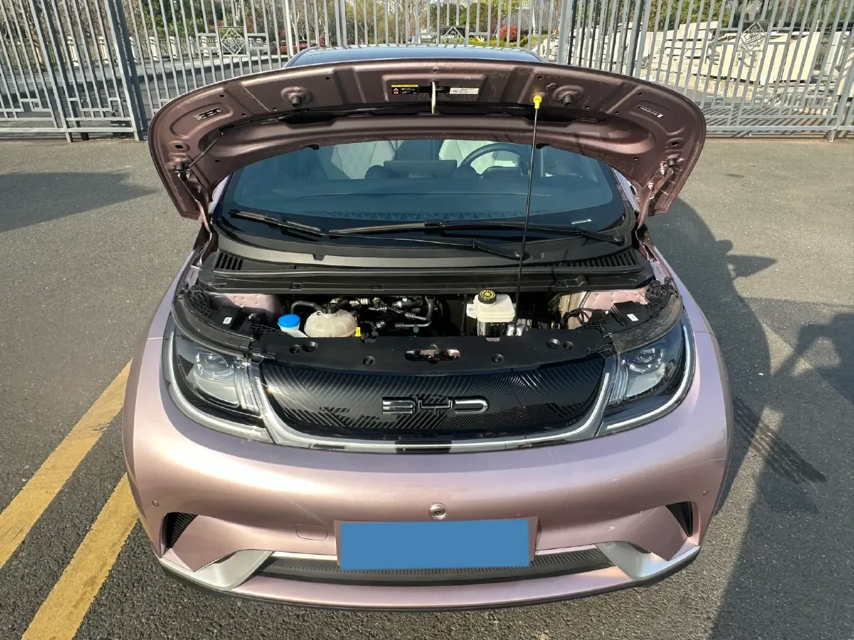 2023 BYD Dolphin BEV 44.928KWH,autocango,china used car exporter,china ev exporter,chinese used car exporter,chinese used ev exporter