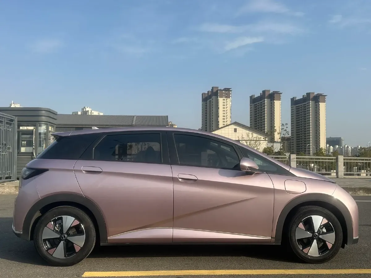 2023 BYD Dolphin BEV 44.928KWH,autocango,china used car exporter,china ev exporter,chinese used car exporter,chinese used ev exporter