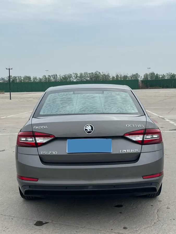 2018 Skoda Octavia 1.2T 116HP L4 7DCT,autocango,china used car exporter,china ev exporter,chinese used car exporter,chinese used ev exporter