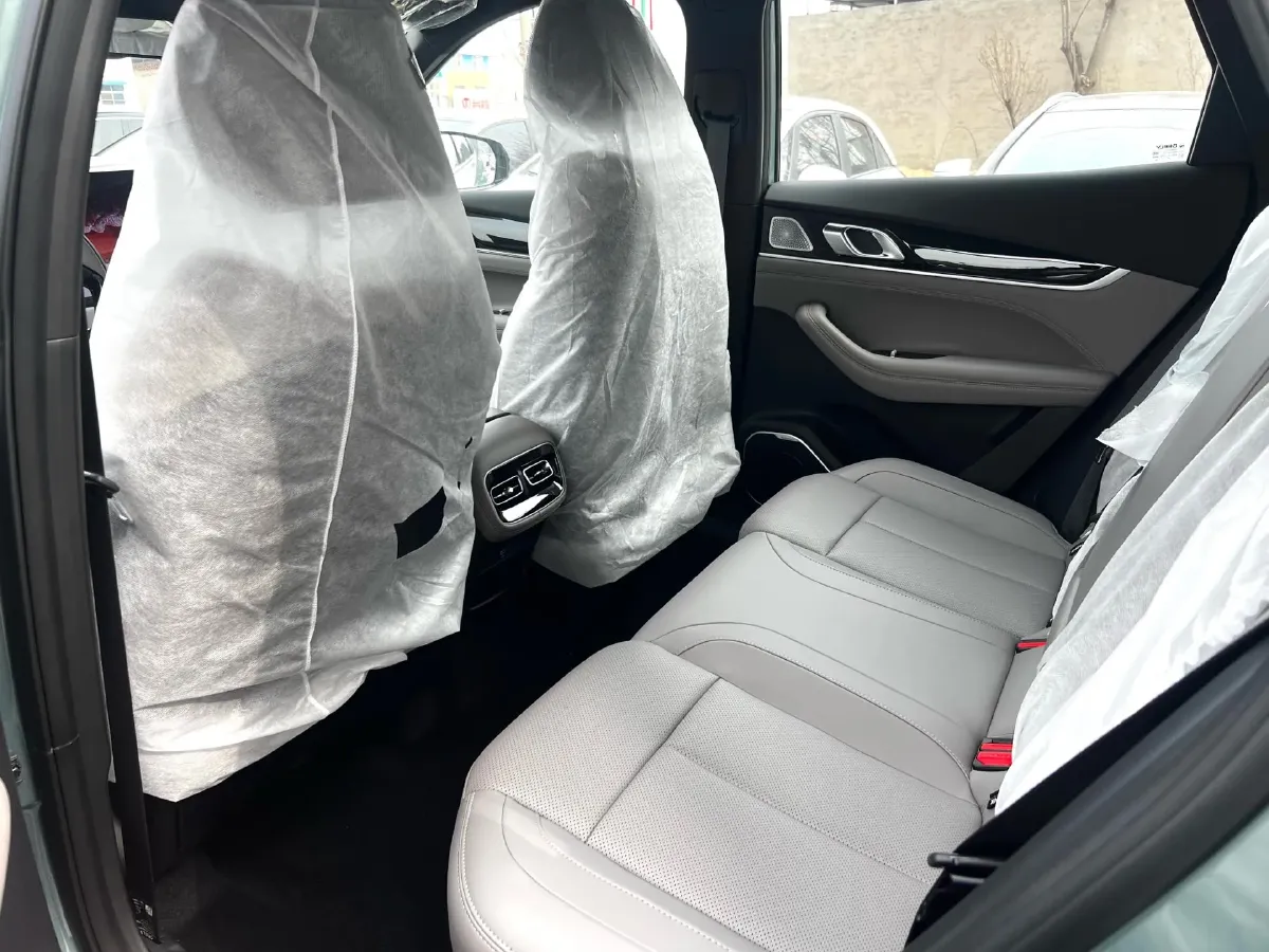 2025 Geely StarRay 1.5T 181HP L4 7DCT,autocango,china used car exporter,china ev exporter,chinese used car exporter,chinese used ev exporter