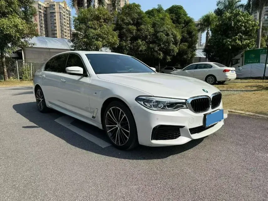 2020 BMW 5 Series 2.0T 252HP L4 8AT,autocango,china used car exporter,china ev exporter,chinese used car exporter,chinese used ev exporter