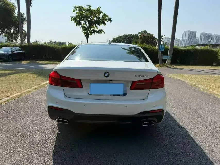 2020 BMW 5 Series 2.0T 252HP L4 8AT,autocango,china used car exporter,china ev exporter,chinese used car exporter,chinese used ev exporter