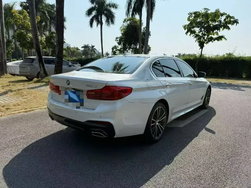 2020 BMW 5 Series 2.0T 252HP L4 8AT,autocango,china used car exporter,china ev exporter,chinese used car exporter,chinese used ev exporter
