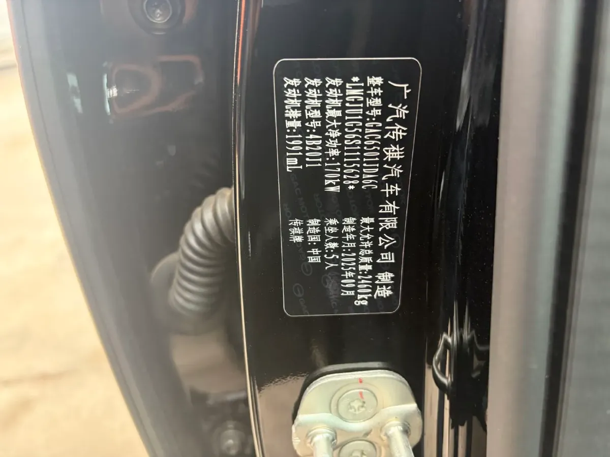 2025 GAC Trumpchi GS8 2.0T 252HP L4 8AT,autocango,china used car exporter,china ev exporter,chinese used car exporter,chinese used ev exporter