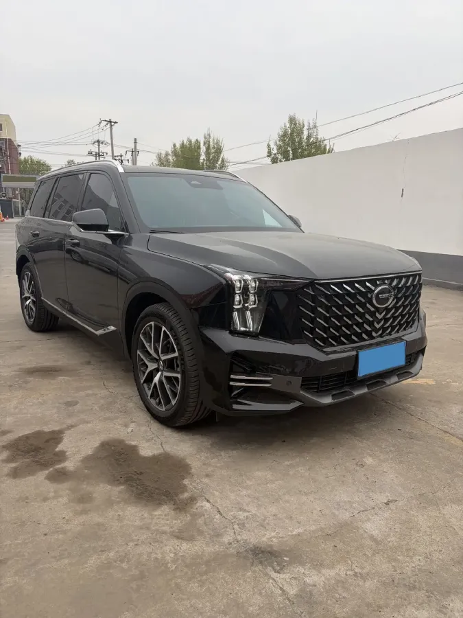 2025 GAC Trumpchi GS8 2.0T 252HP L4 8AT,autocango,china used car exporter,china ev exporter,chinese used car exporter,chinese used ev exporter