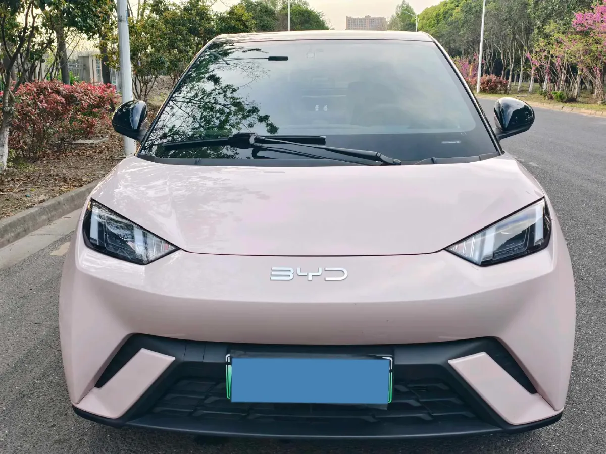 2023 BYD Seagull BEV 30.08KWH,autocango,china used car exporter,china ev exporter,chinese used car exporter,chinese used ev exporter