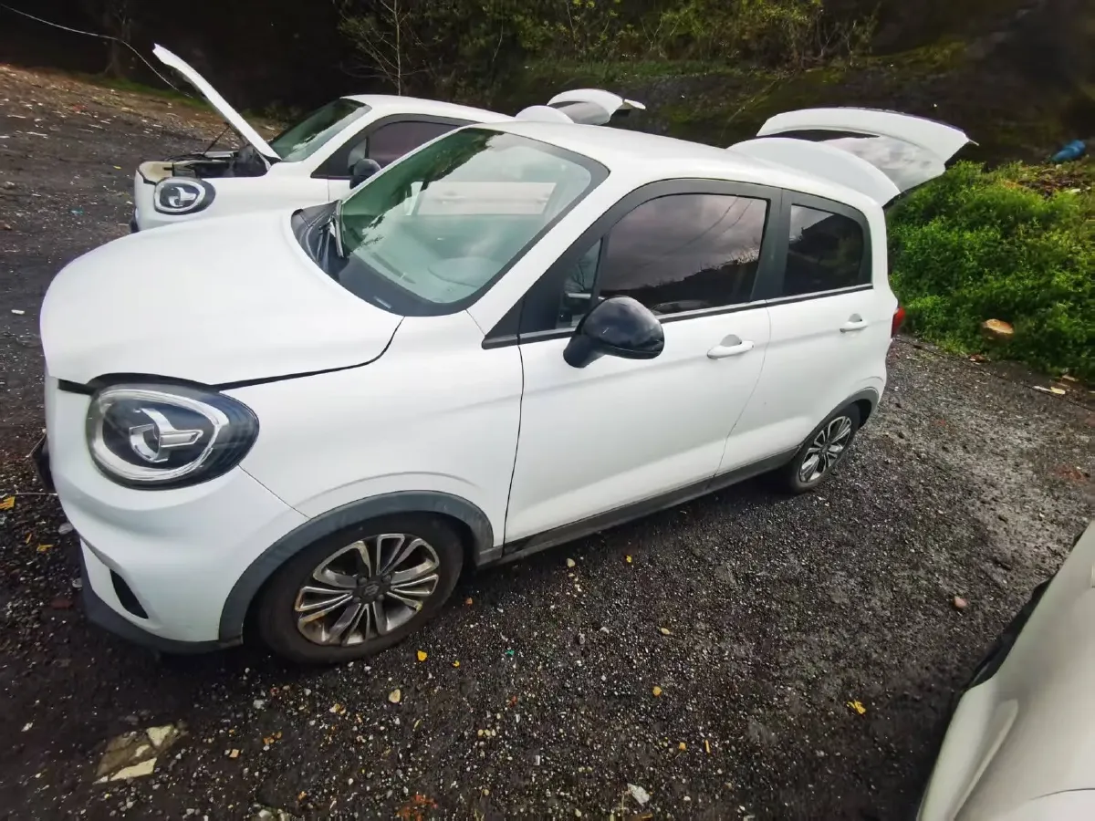 2021 Leapmotor T03 BEV 38KWH,autocango,china used car exporter,china ev exporter,chinese used car exporter,chinese used ev exporter