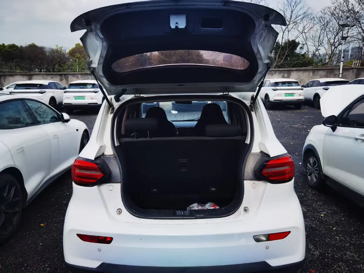 2021 Leapmotor T03 BEV 38KWH,autocango,china used car exporter,china ev exporter,chinese used car exporter,chinese used ev exporter