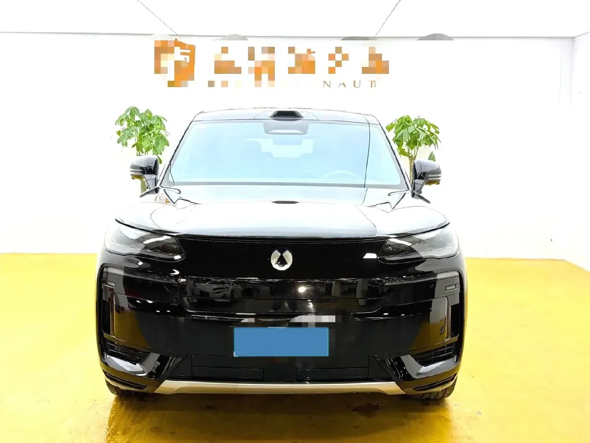 2025 Denza DenzaN9 2.0T 207HP L4 E-CVT PHEV,autocango,china used car exporter,china ev exporter,chinese used car exporter,chinese used ev exporter